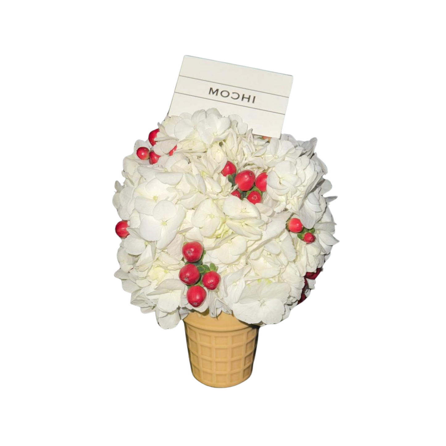 White Ice Cream | 白色雪糕｜花店 Flowers Florist｜情人節花束 求婚花束